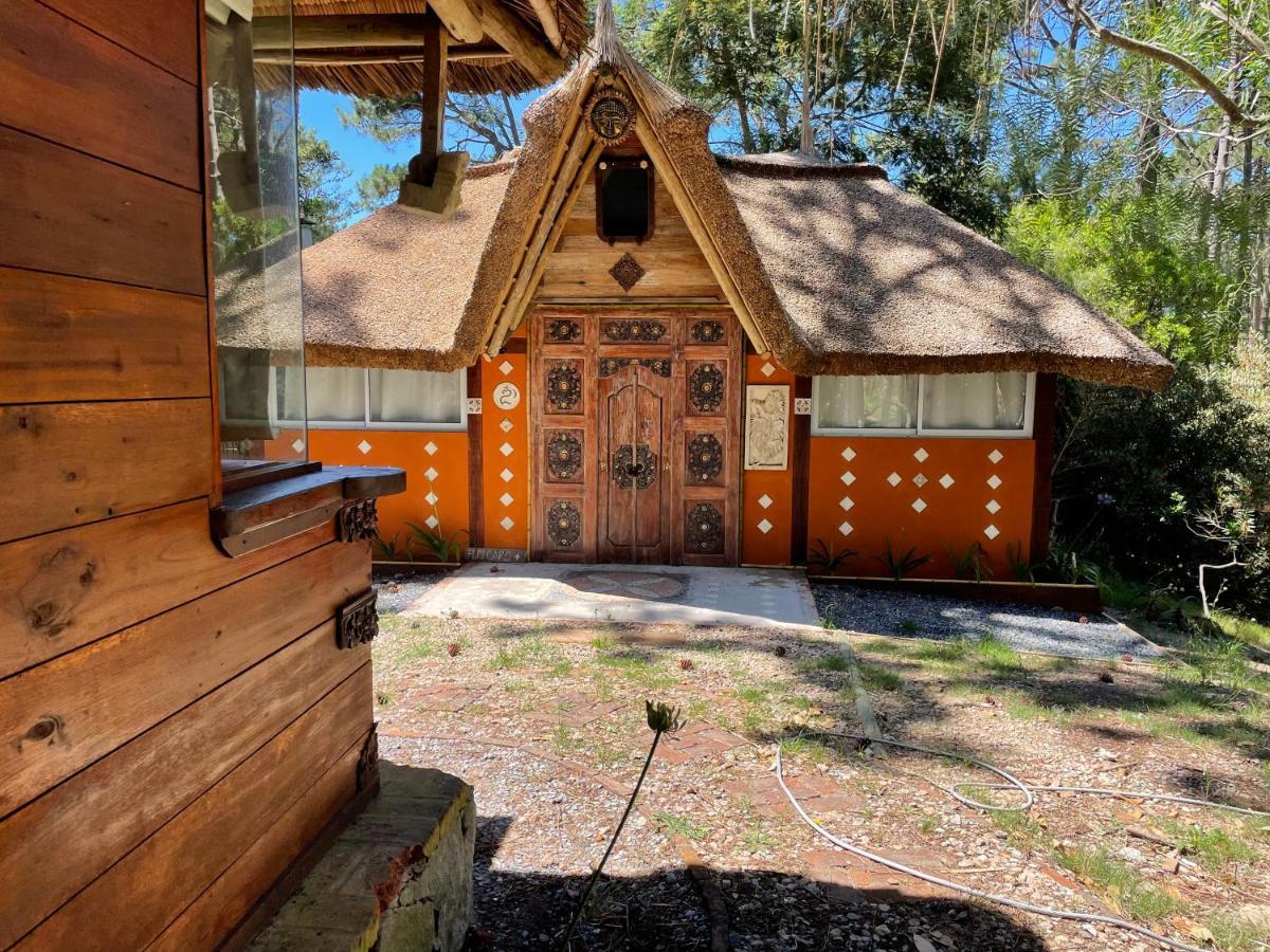 Shiva Villa Punta del Este Eksteriør billede